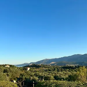  Villa Traditional Mandola